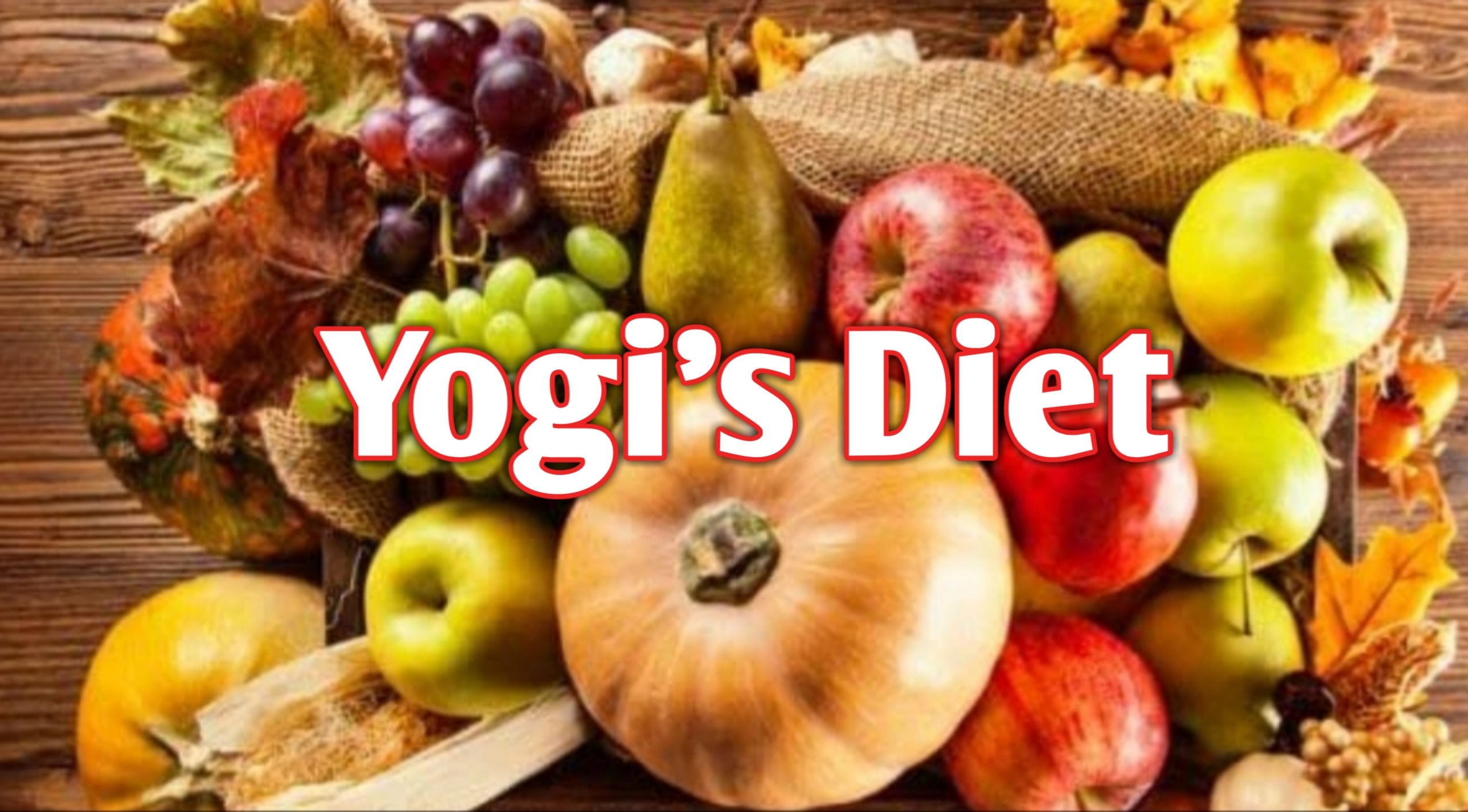 Yogi’s Diet